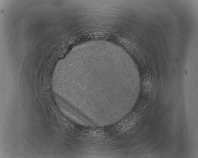 X0000083650865200703051724
