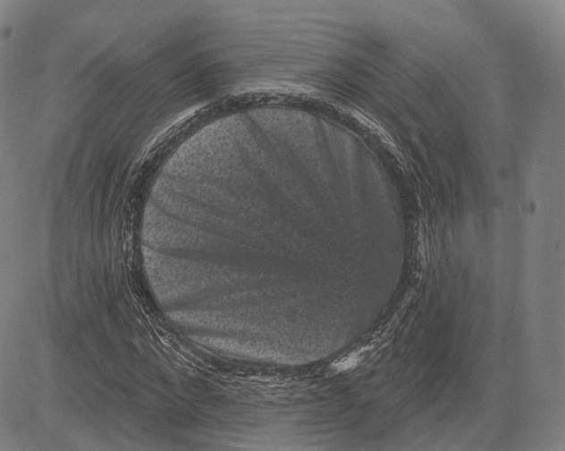 X0000083650872200703051724