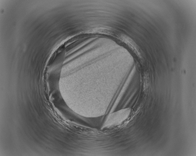 X0000083650876200703051723