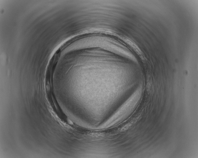 X0000083650888200703051723