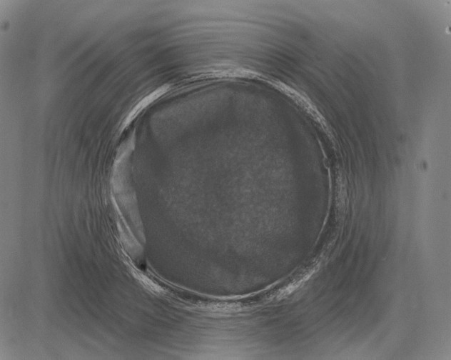 X0000083650889200703051723