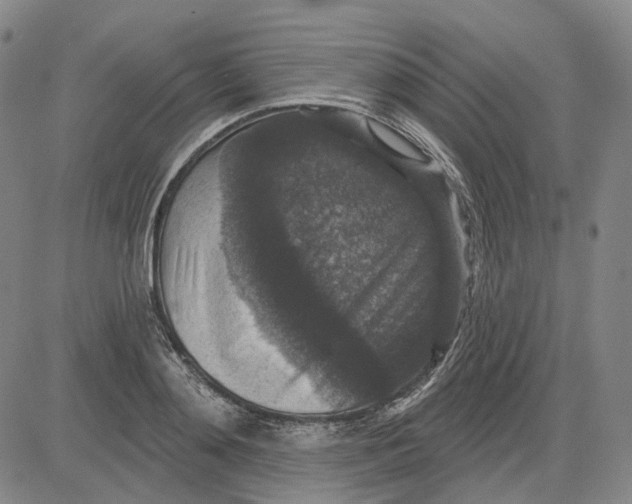 X0000083650892200703051723