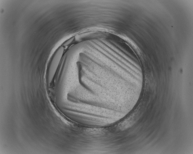 X0000083650902200703051723