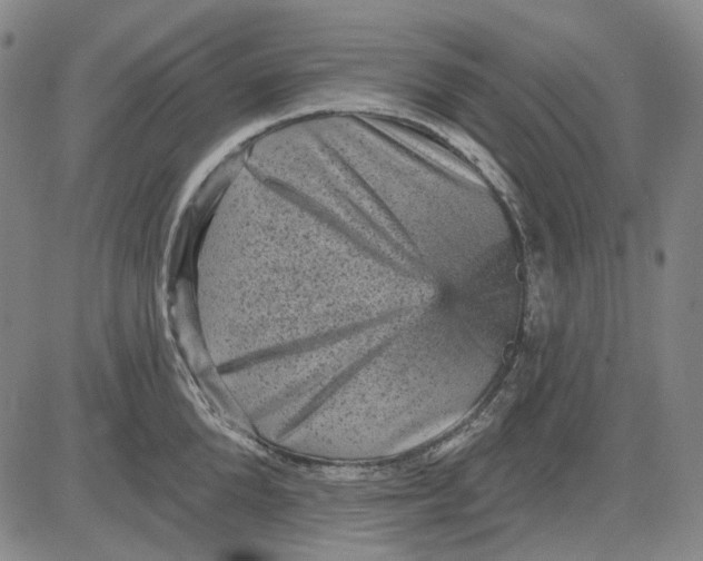 X0000083650904200703051723