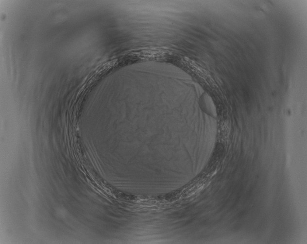 X0000083650913200703051722