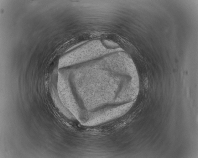 X0000083650914200703051722