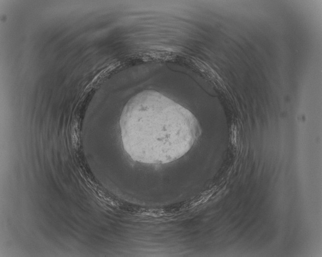 X0000083650915200703051722