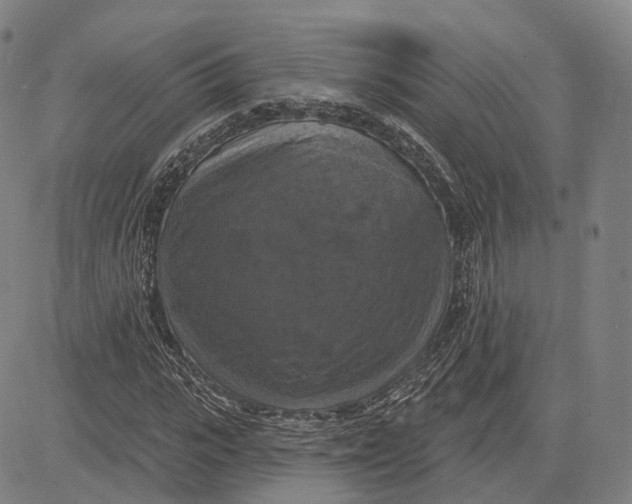 X0000083650919200703051722