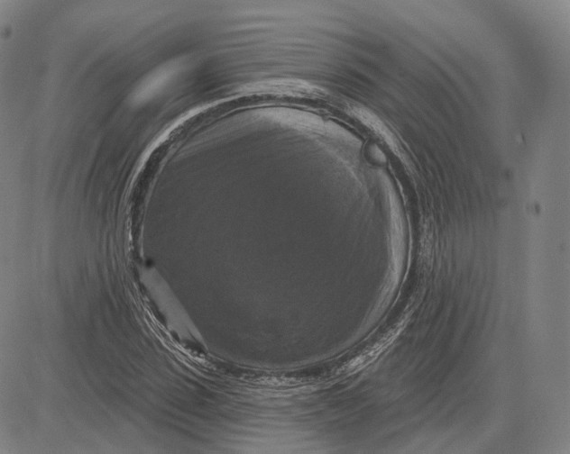 X0000083650923200703051722