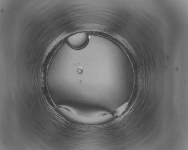 X0000083650926200703051722