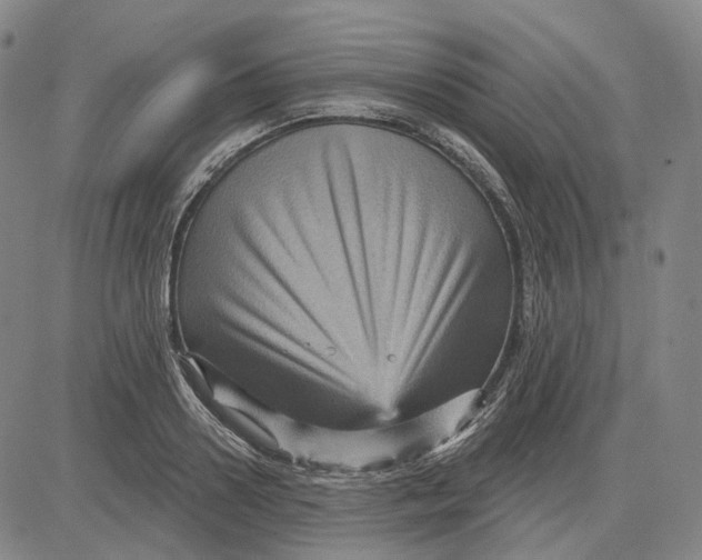 X0000083650938200703051722