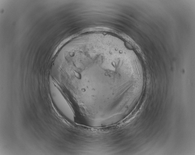 X0000083650945200703051723