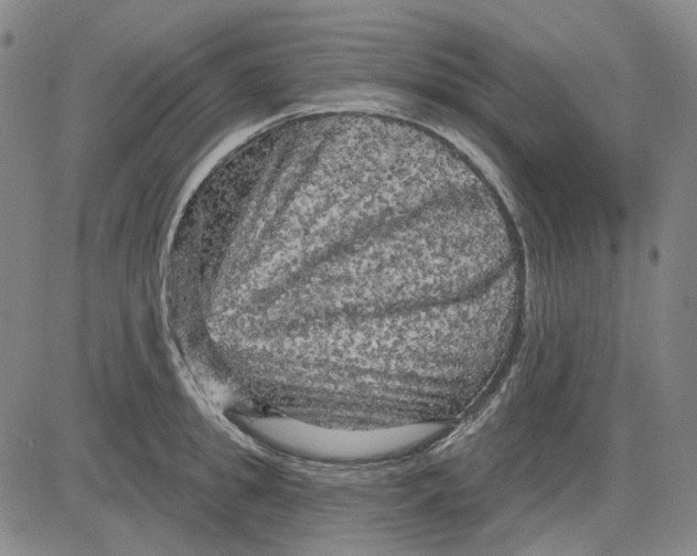 X0000083650949200703051723