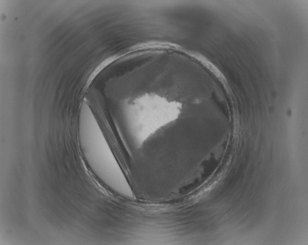 X0000083650953200703051723