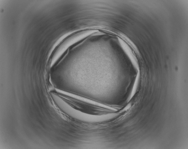 X0000083650956200703051723
