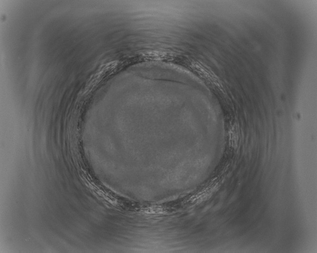 X0000083650961200703051722