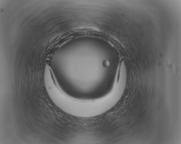 X0000083650965200703051722