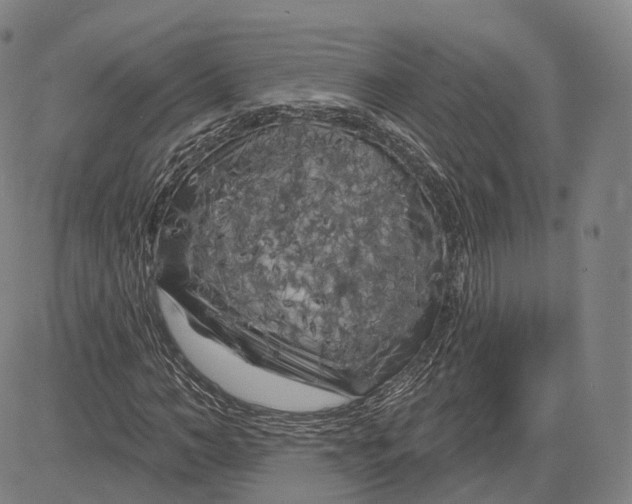 X0000083650966200703051722