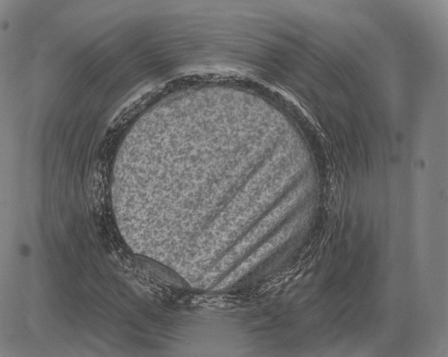 X0000083650967200703051722