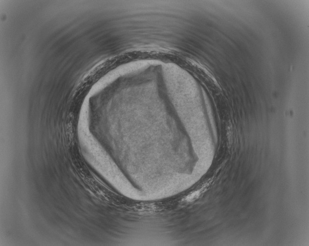 X0000083650968200703051722