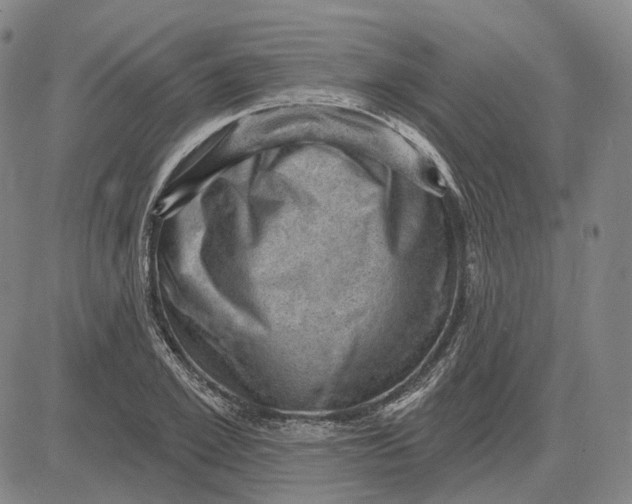 X0000083650981200703051722