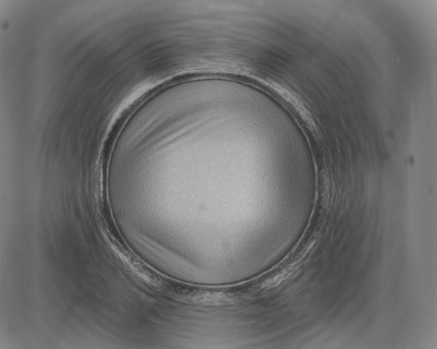 X0000083650982200703051722