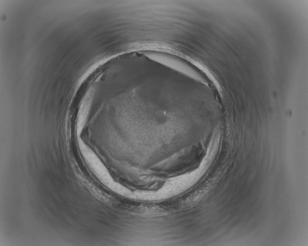 X0000083650983200703051722