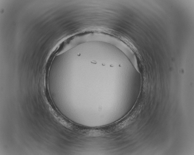 X0000083650984200703051722