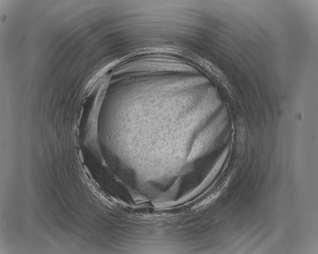 X0000083650985200703051722