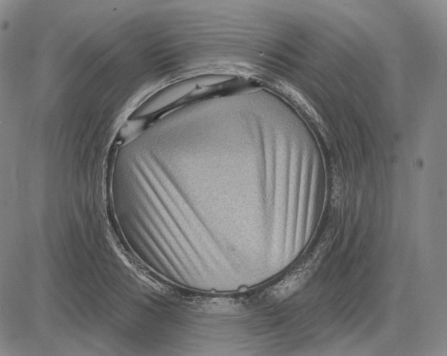 X0000083650986200703051722