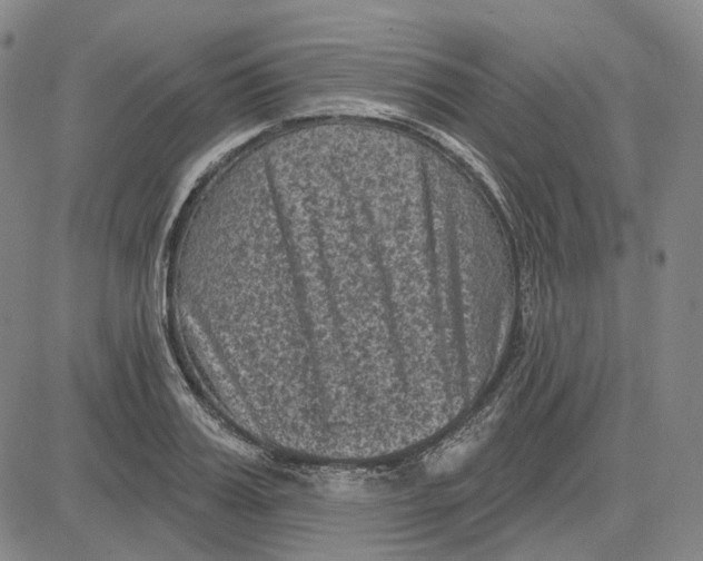 X0000083650987200703051722