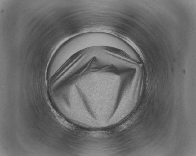 X0000083650988200703051722