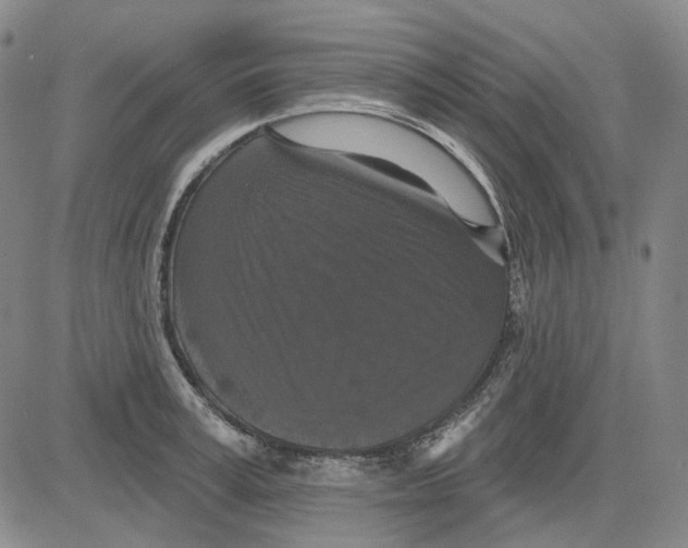 X0000083650995200703051721
