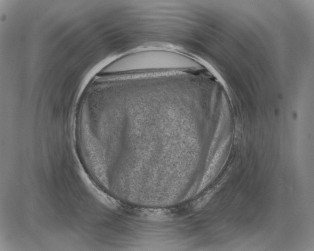 X0000083651003200703051721