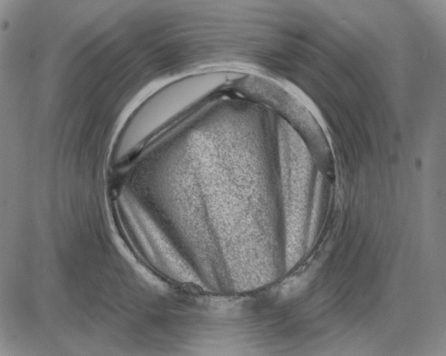 X0000083651005200703051721