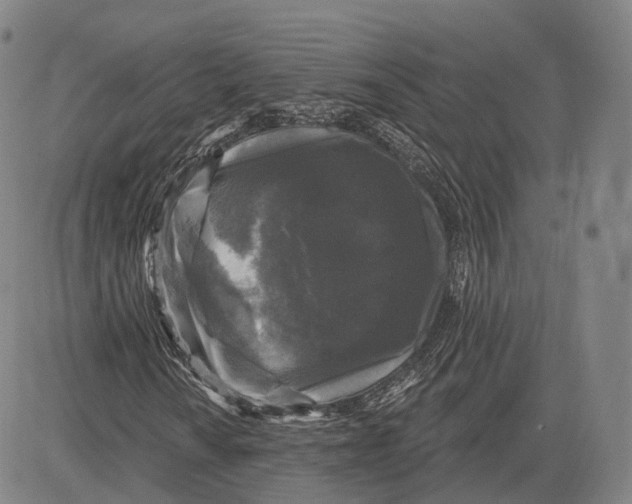 X0000083651010200703051720