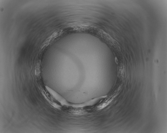 X0000083651012200703051721