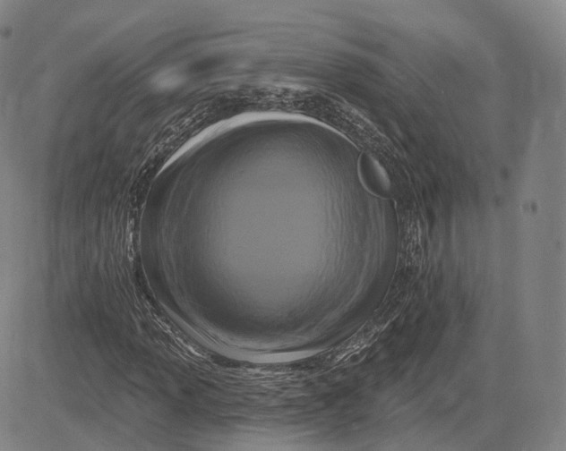 X0000083651013200703051721
