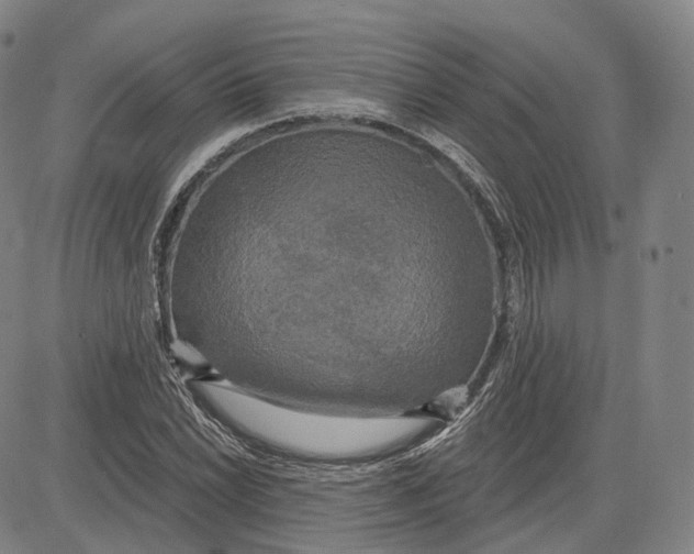 X0000083651022200703051721