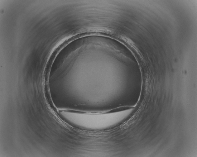 X0000083651024200703051721