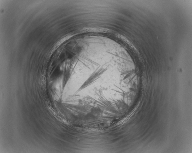 X0000083651025200703051721