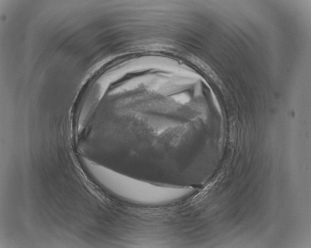 X0000083651031200703051721