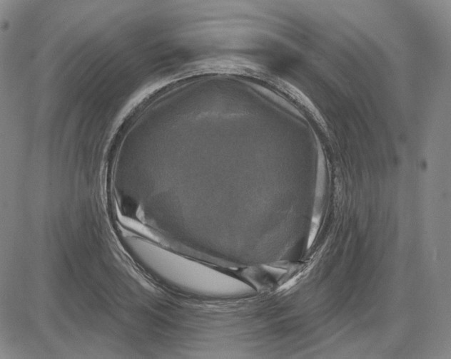 X0000083651035200703051721