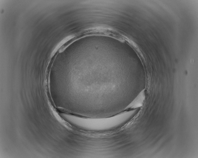 X0000083651042200703051721