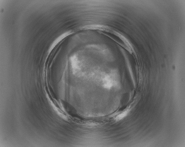X0000083651050200703051721