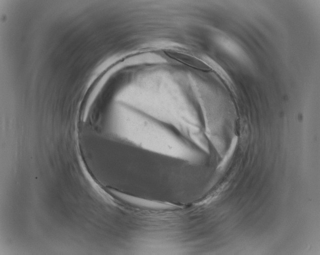 X0000083651055200703051721