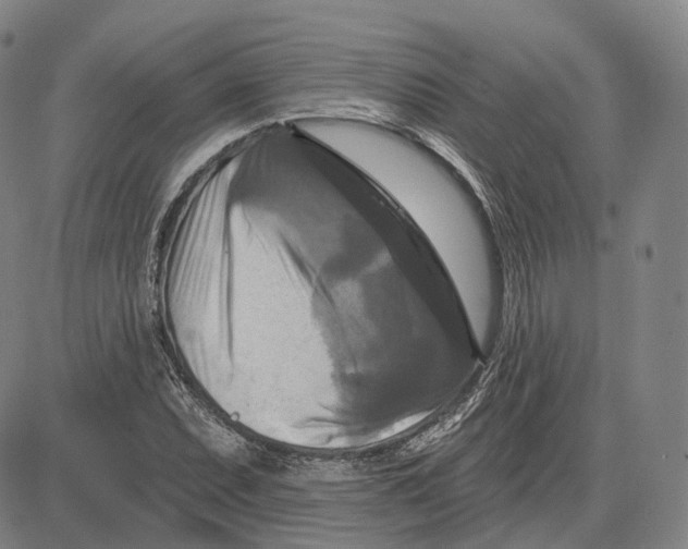 X0000083651071200703051720