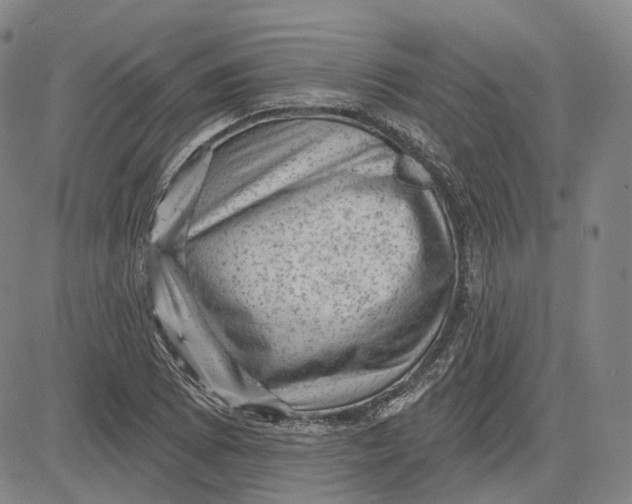 X0000083651073200703051720