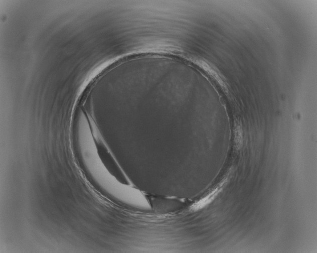 X0000083651077200703051720