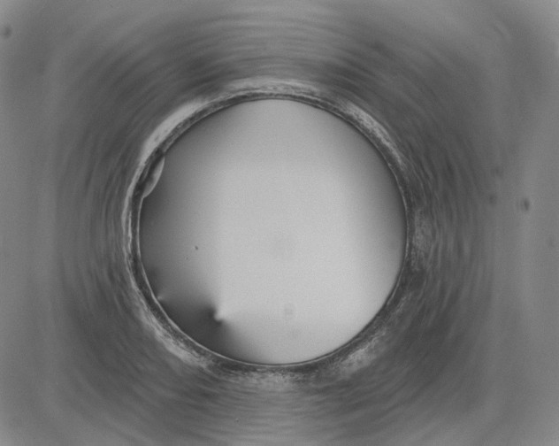 X0000083651082200703051720